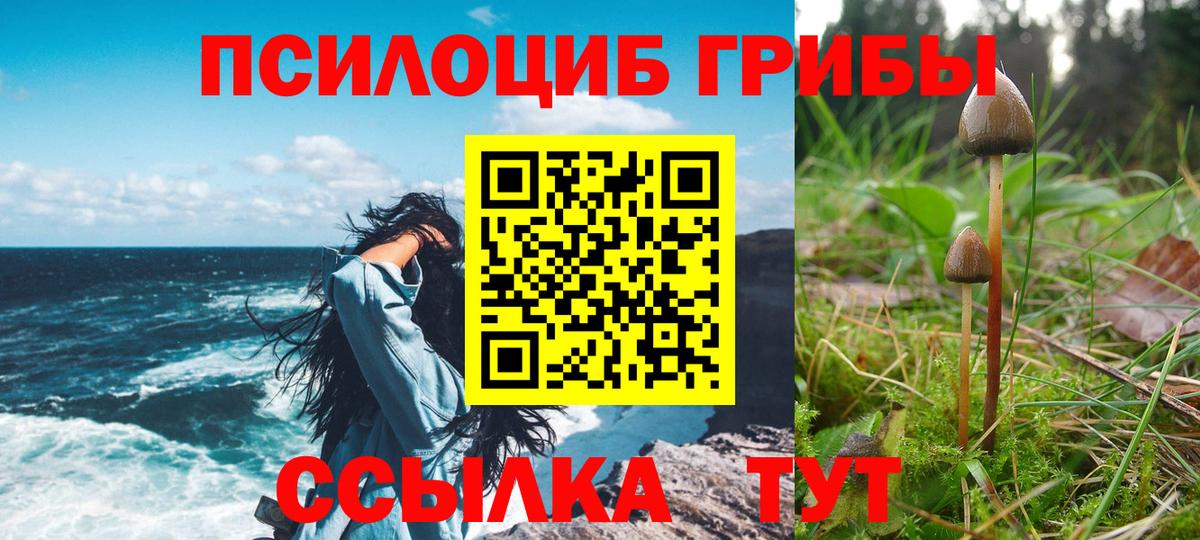 Галлюциногенные грибы Psilocybe  Вход с VPN  Мыски  Псилоцибиновые грибы ЛСД 